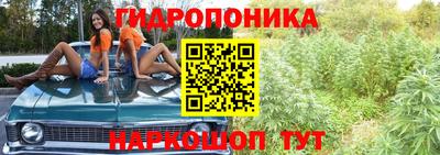 spice Владикавказ