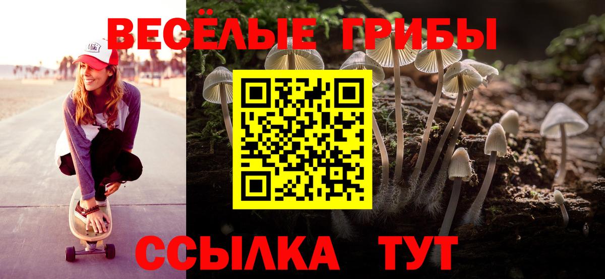 Отрадное  Псилоцибиновые грибы Magic Shrooms  Вход с VPN  Псилоцибиновые грибы прущие грибы 