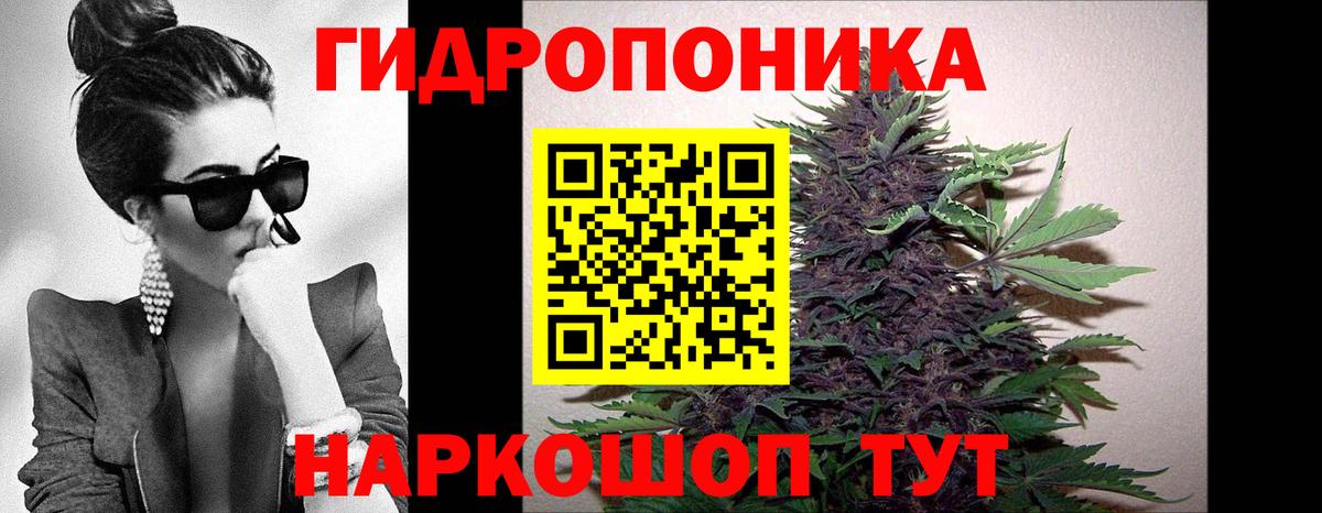 Марихуана семена  Вход с VPN  МАРИХУАНА гибрид  Отрадное  Конопля индика 